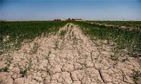 پای خشکسالی بر گلوی اقتصاد شرق مازندران