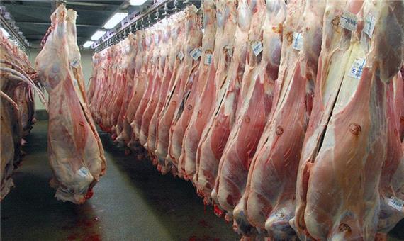 حدود10 درصد گوشت قرمز مصرفی کشور وارداتی است