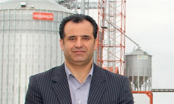70 هزار تن گندم و کلزا در مازندران خریداری شد