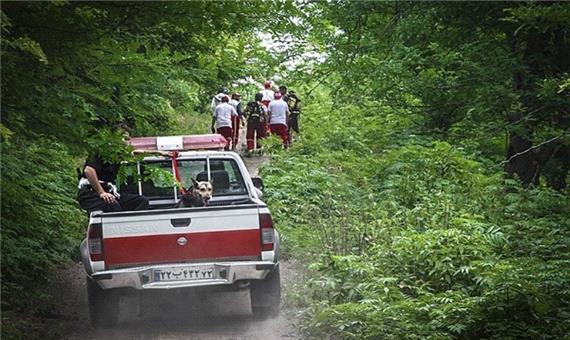 امدادگران 5فردگمشده در جنگل های نور را پیدا کردند