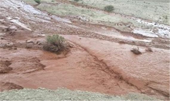 خسارت 420 میلیون ریالی سیل تابستانه به روستای« چالو» ساری