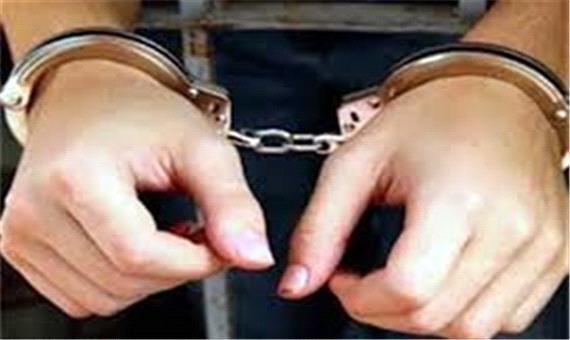 دستگیری سارق ویلاهای خالی از سکنه با 21 فقره سرقت در عباس آباد