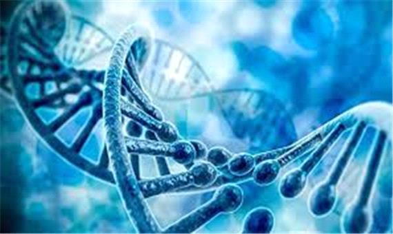 نگهداری 5 هزار نمونه ژنوم انسانی در مرکز جامع بیماران خاص بابل