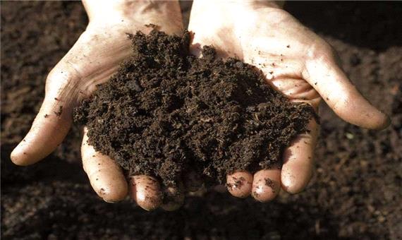 خاک مازندران دارای عناصر سنگین خطرناک نیست