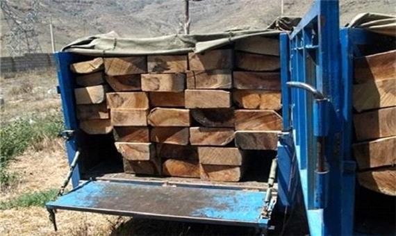 38 تن چوب آلات قاچاق در ساری و نور کشف شد