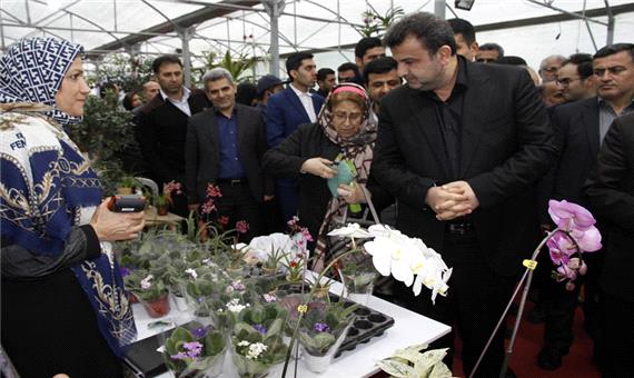 چهارمین جشنواره ملی گل ارکیده در نوشهر به کار خودپایان داد