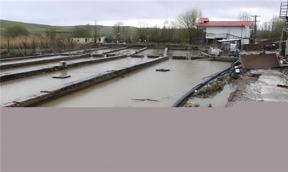 سیل به 53مزرعه پرورش ماهی مازندران خسارت زد
