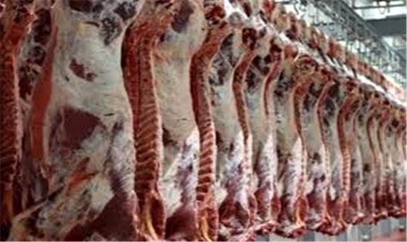 واردات بی رویه، قیمت گوشت قرمز را افزایش داده است