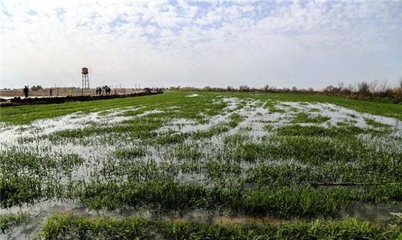 پرداخت کمک بلاعوض و تسهیلات به کشاورزان سیلزده مازندران آغاز شد