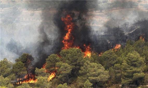 آمادگی غرب مازندران برای مقابله با آتش سوزی جنگل ها با تشکیل ستاد پیشگیری