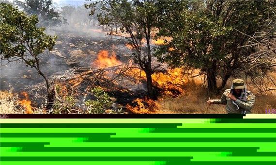 اعزام آتش نشانان چهار شهرستان به منطقه میانکاله
