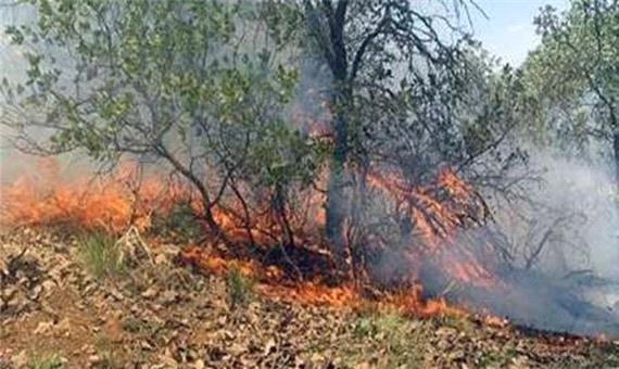 95 درصد آتش سوزی جنگل‌های بهبهان کنترل شد