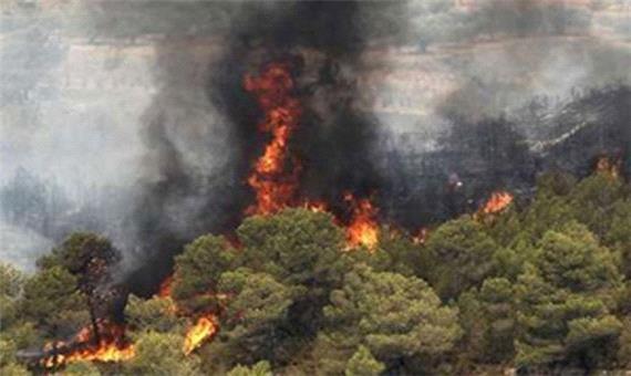مهار آتش سوزی مراتع لاریجان